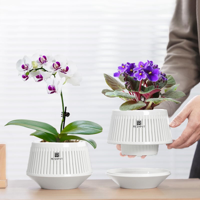 Meshpot 5 inch Orchid Pots with Holes for Repotting with Excellent Airflow and No Leaking, Set of 3, Decorative African Violet Pots with Air-Pruning, Plastic White Orchid Container with Saucers - Image 3